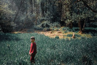 Rear view of boy walking in forest