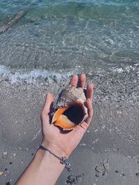 Midsection of person holding ice cream on beach