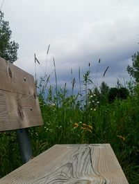 Plants growing in farm against sky