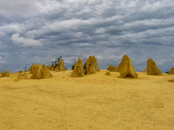 The pinnacles formations in nambung national park, western australia