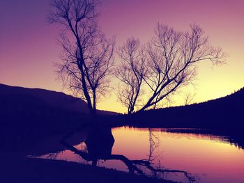 Silhouette of bare trees by river at sunset