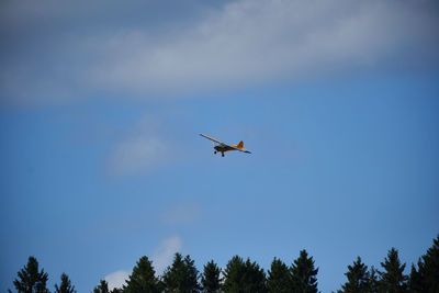 Low angle view of bird flying in sky