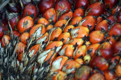 Full frame shot of tomatoes