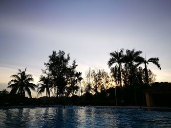 Silhouette of palm trees at sunset