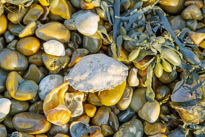 Full frame shot of pebbles