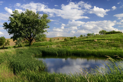 Scenic view of lake against sky