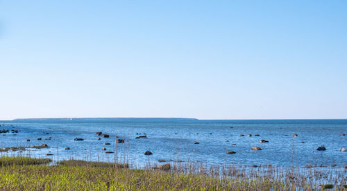 Scenic view of sea against clear sky