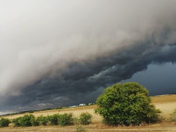 Scenic view of trees on field against storm clouds