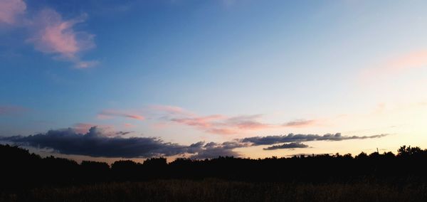 Silhouette trees on field against sky during sunset