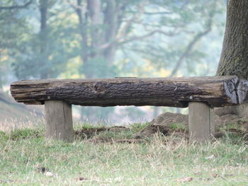 Wooden bench on field by tree in forest