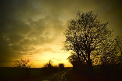 Silhouette tree by road against sky during sunset