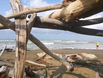 Driftwood on beach against sky