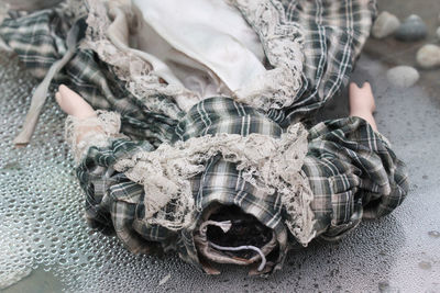 Close-up of a turtle