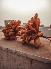 Close-up of dried flower on table
