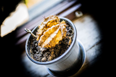 High angle view of drink on table