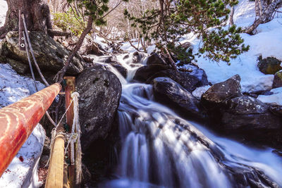 Scenic view of waterfall in forest