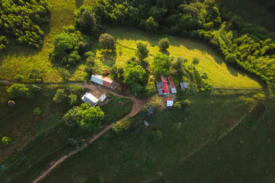 High angle view of agricultural field