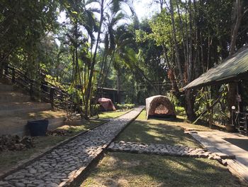 Footpath along trees