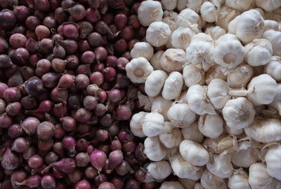 Close-up of blueberries