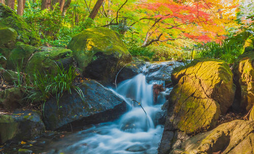 Scenic view of waterfall