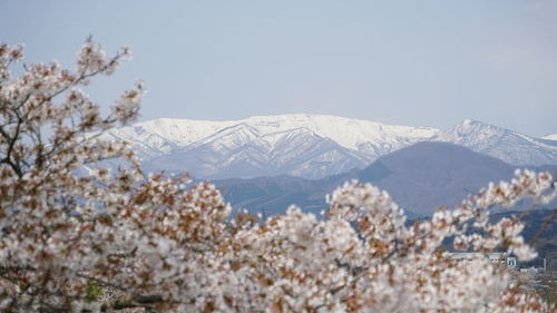 Snow covered landscape against sky