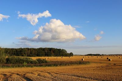 Scenic view of rural landscape