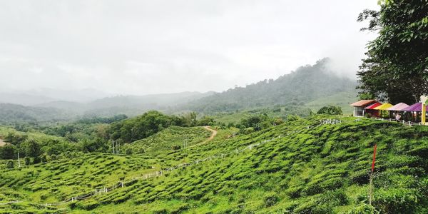 Scenic view of field and mountains against sky