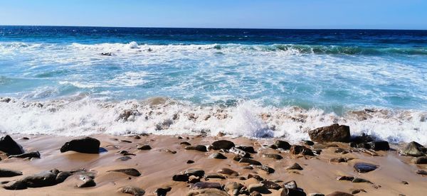 Scenic view of sea shore against sky