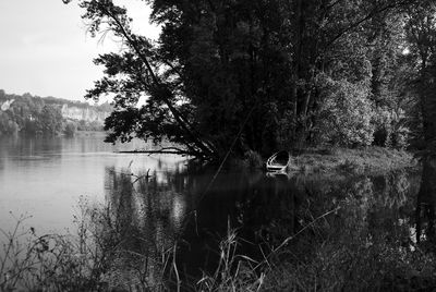 Reflection of trees in lake