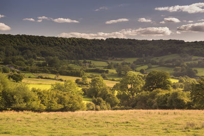 Scenic view of field against sky