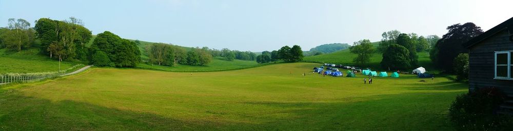 Trees on grassy field