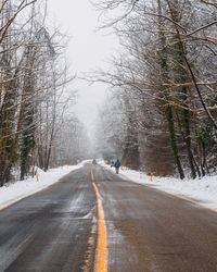 Tree tunnel and the road in winter