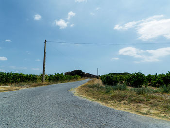 Empty road amidst plants against sky