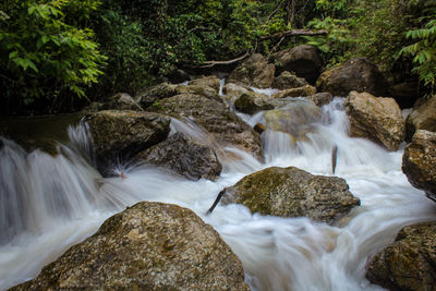 Scenic view of waterfall in forest