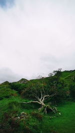 Scenic view of land against sky