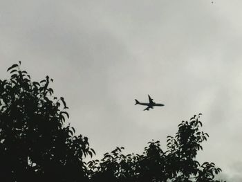 Low angle view of airplane flying in sky