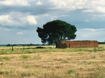 Abandoned house on field against sky