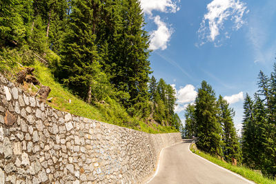 Road by trees against sky