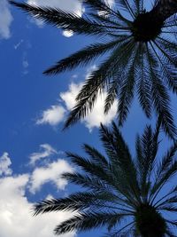 Low angle view of palm tree against blue sky