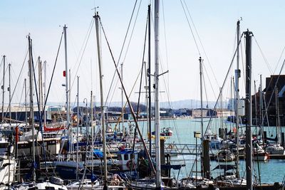 Sailboats moored at harbor against clear sky