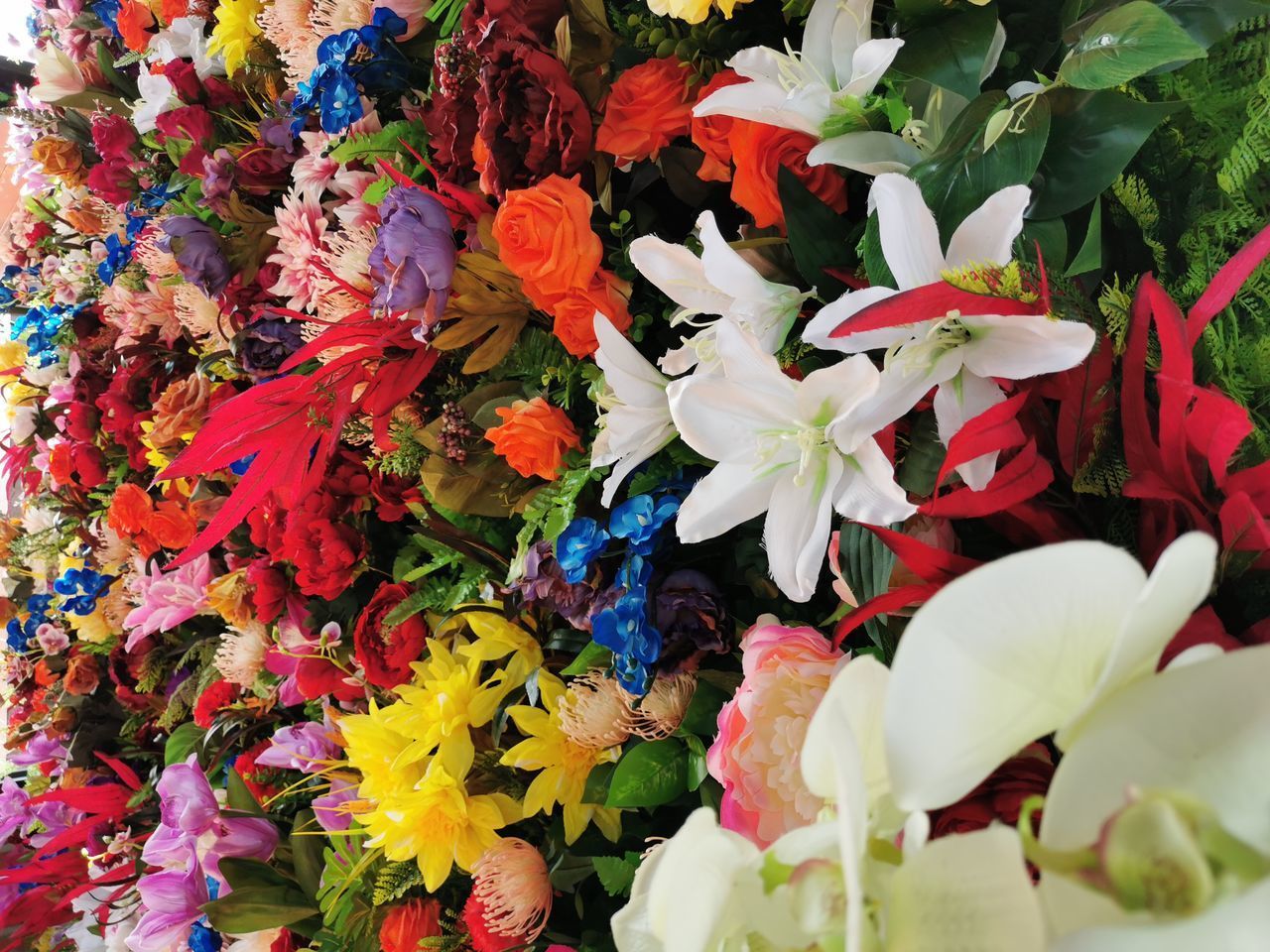 HIGH ANGLE VIEW OF VARIOUS FLOWERS ON PLANT