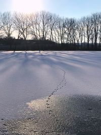 Bare trees on snow covered landscape