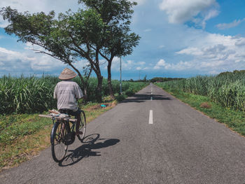 Rear view of man riding bicycle on road