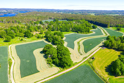 High angle view of trees on landscape against sky