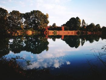 Reflection of trees in lake against sky