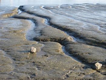 High angle view of wet shore