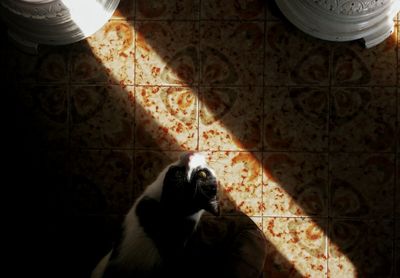 Close-up of woman in bikini