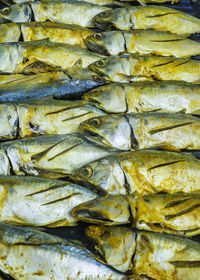 Full frame shot of fish for sale in market