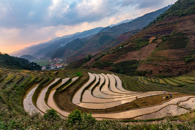 Scenic view of rice field against cloudy sky