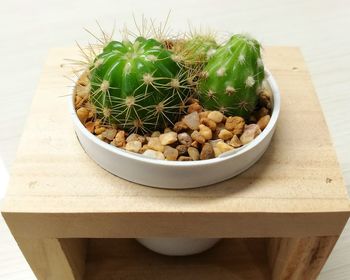 High angle view of potted plants on table